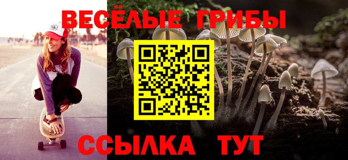 Галлюциногенные грибы Psilocybe  Вход с VPN  Псилоцибиновые грибы Cubensis  Семёнов 